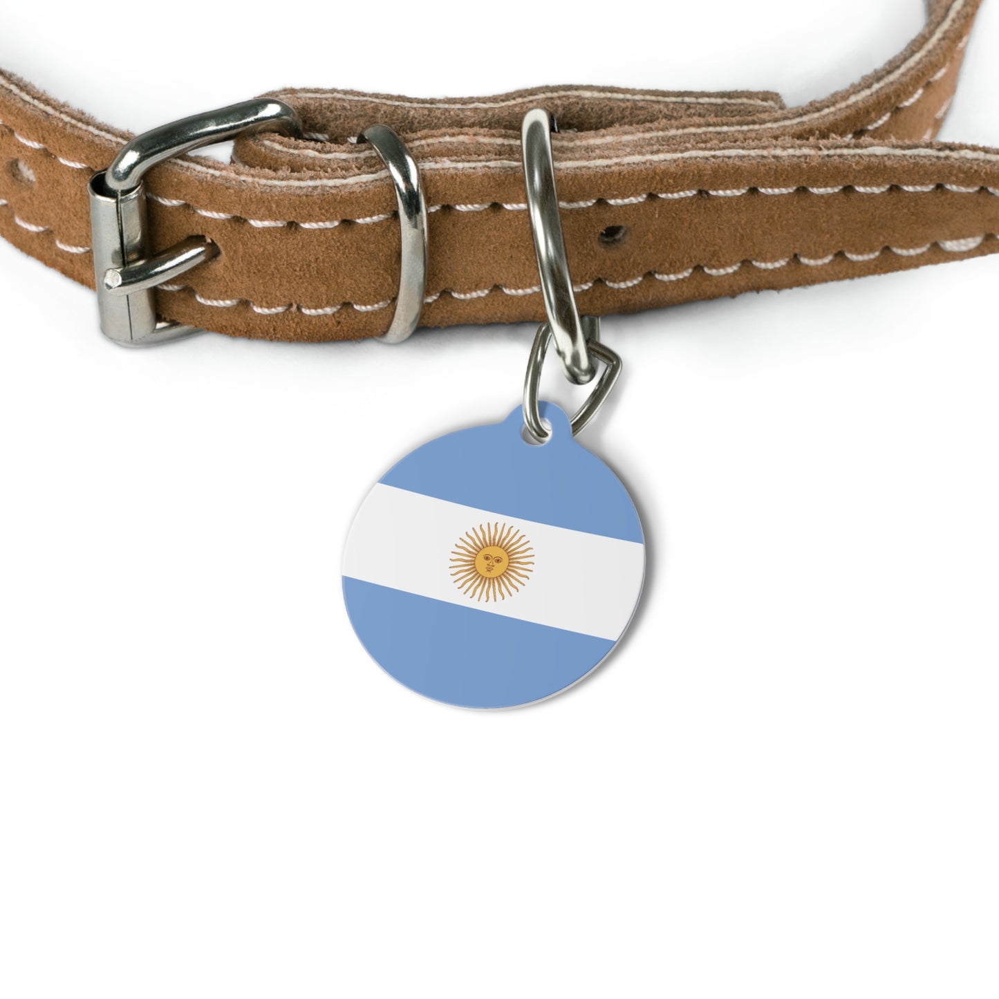 Argentina Flag
