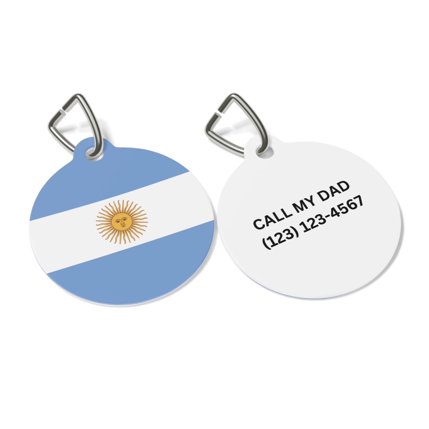 Argentina Flag