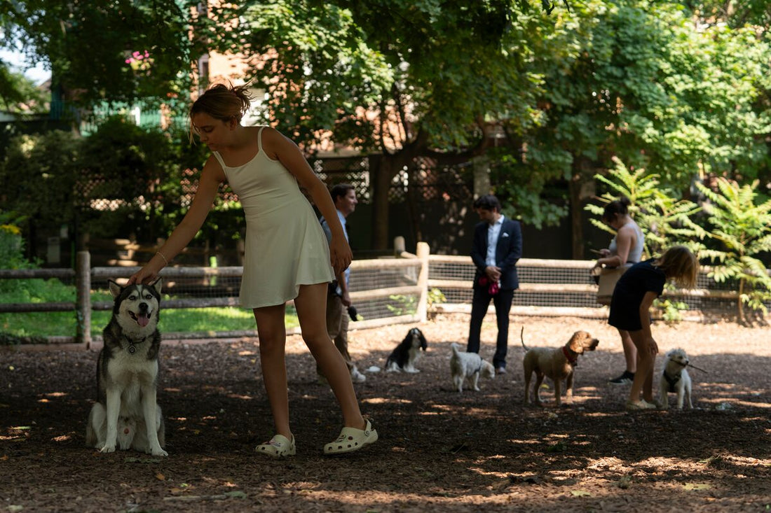 Discover the Best Dog Parks in Toronto: Ramsden Dog Park