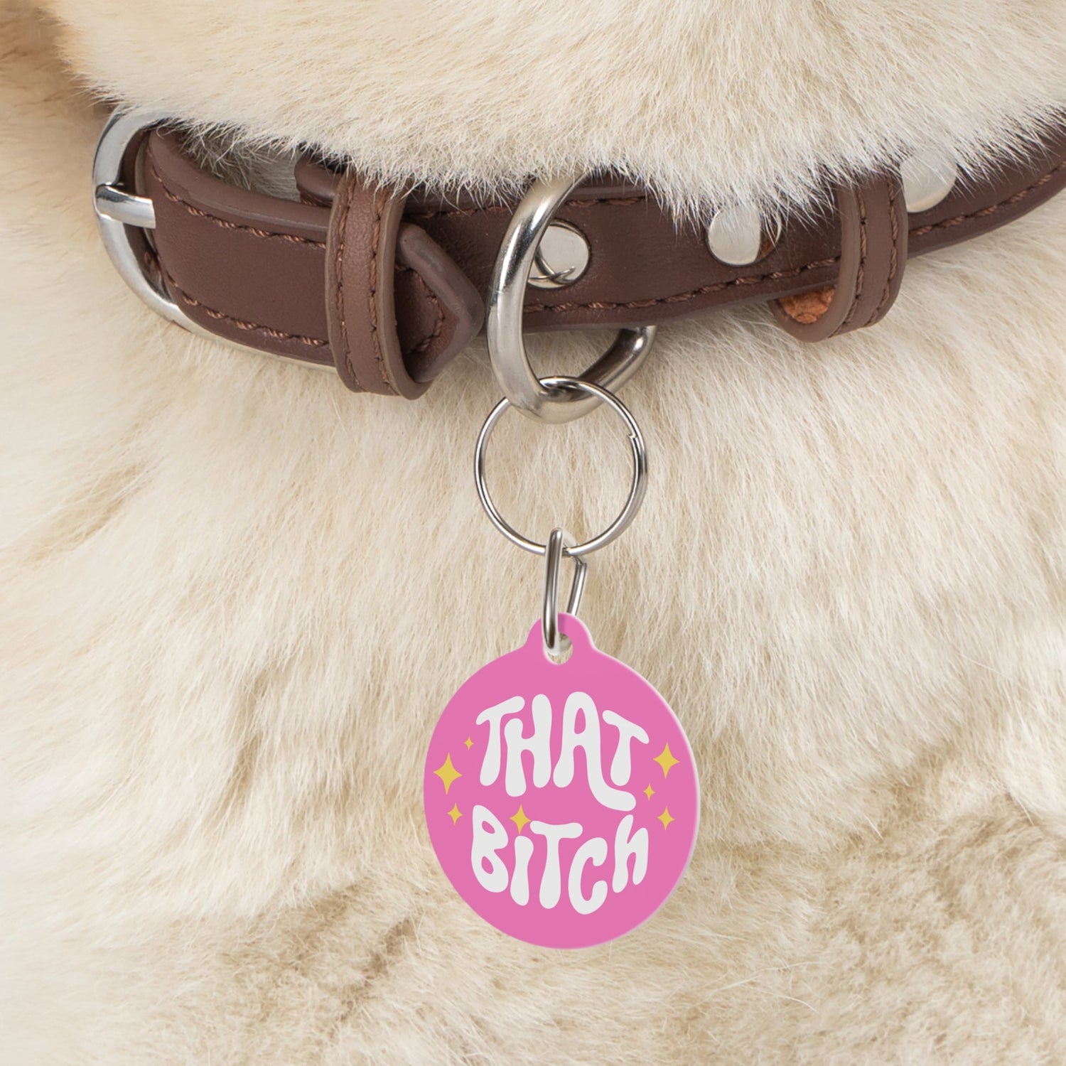 Fun Pet ID Tags